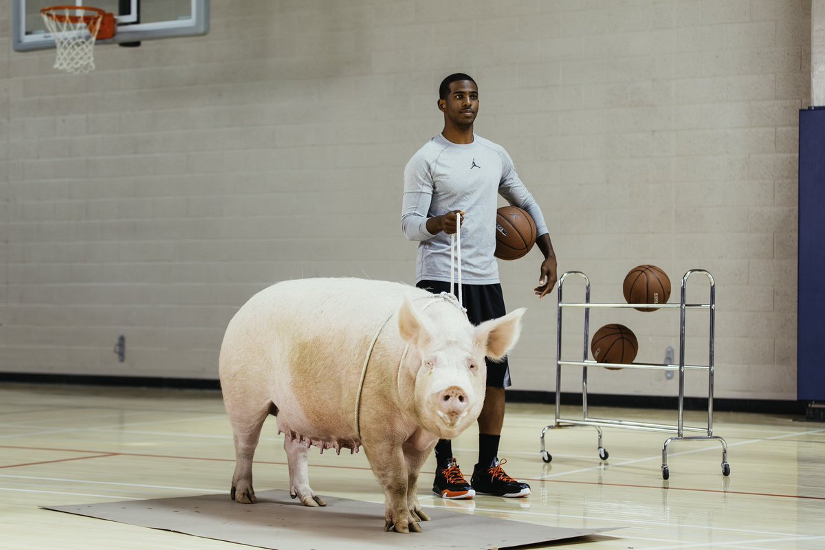 trashhand tweet media