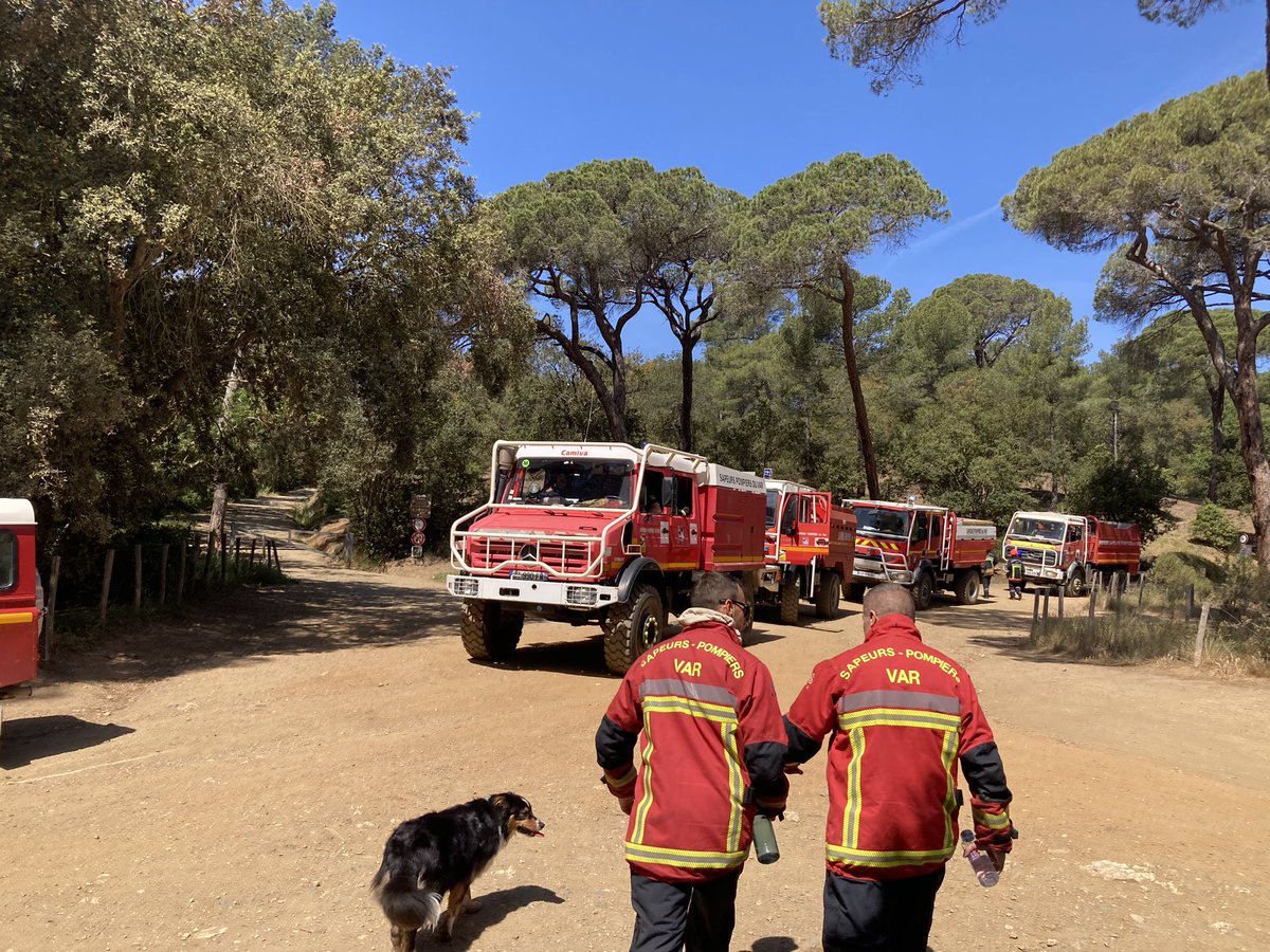 Mathey55's tweet photo. Fin d’une belle formation #fdf avec une belle équipe de jeunes de @sdis83 🚒🌳🌲🔥 https://t.co/qD0IO9GpBX