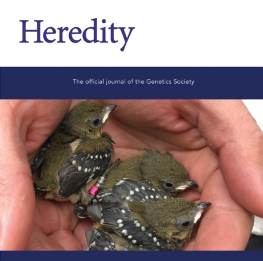 HeredityJournal's tweet photo. Our May issue is now available online
https://t.co/mkuNMdNZw1
@GenSocUK
#genetics #genomics #congen #locomotor #drosophila #cropbreeding #bees https://t.co/eAroX4As4o