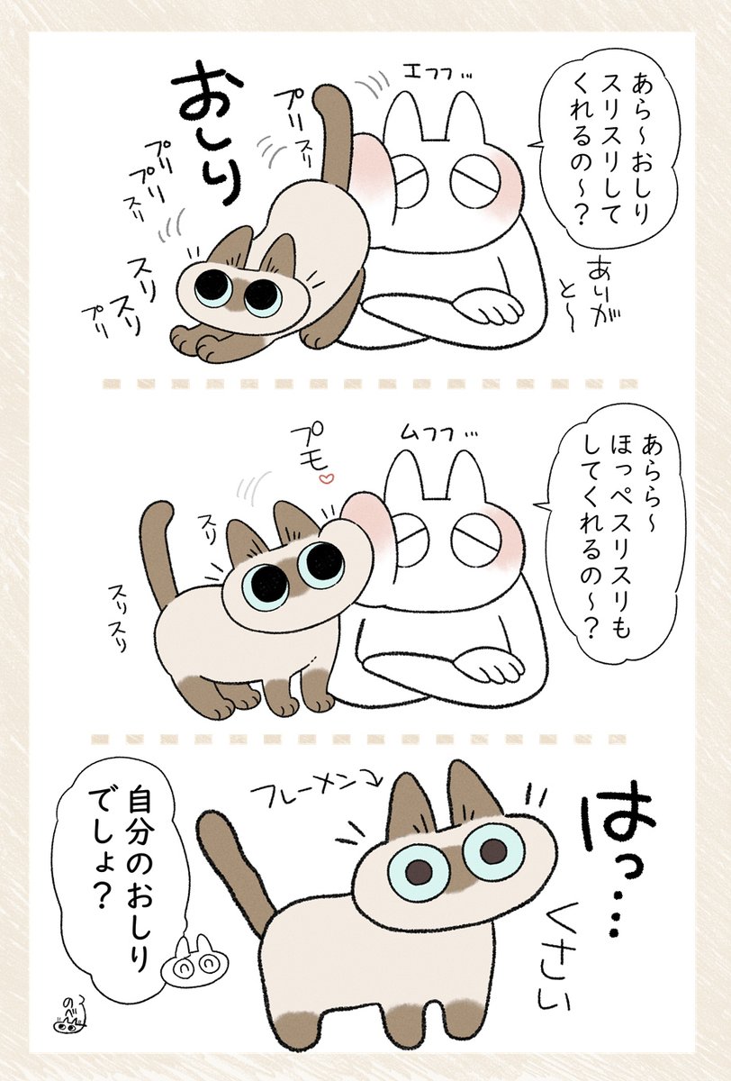 飼い主の顔がくさいのはあずきさんのせいなんよ #シャム猫あずきさんは世界の中心