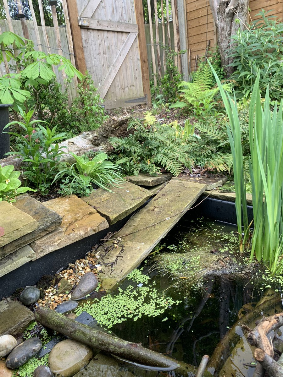 Alexander Bawden tweet media