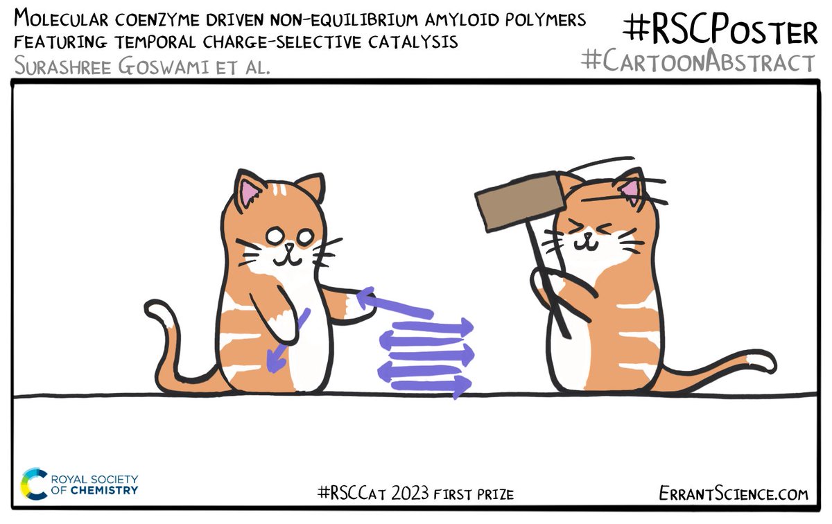 ErrantScience's tweet photo. This is one of many extra @RoySocChem #RSCPoster cartoons we drew for #RSCCat first prize winner @Surashree24, go look at their poster and ask them questions about temporal charge selective catalysis https://t.co/yY5CjPvHvd