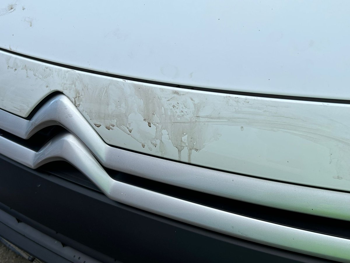 Findblocks.Net tweet media