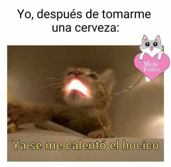 betinbetillo's tweet image. #PoderosoArrasando esa sensacion 🤣🤣🤣🤣