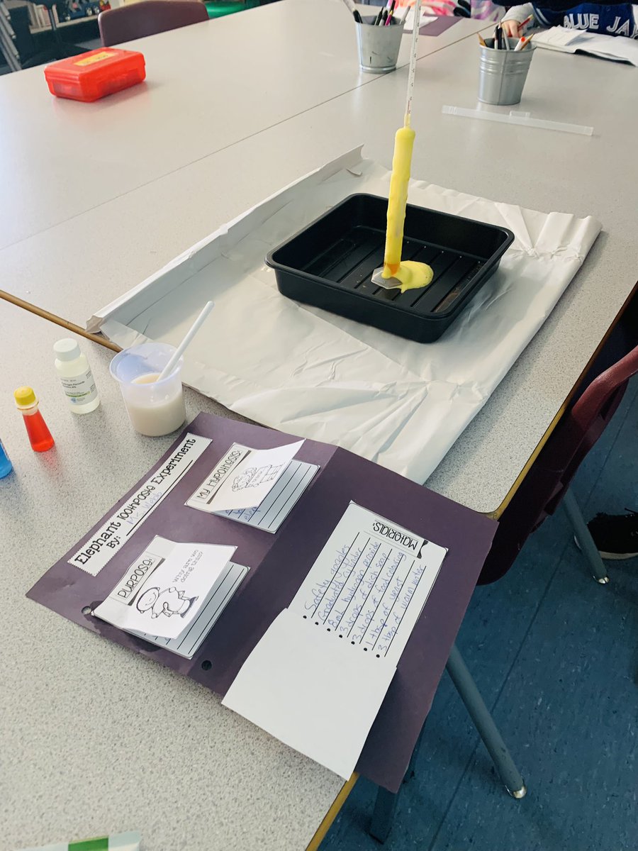 Yesterday our grade 2/3 students experimented with making elephant toothpaste!