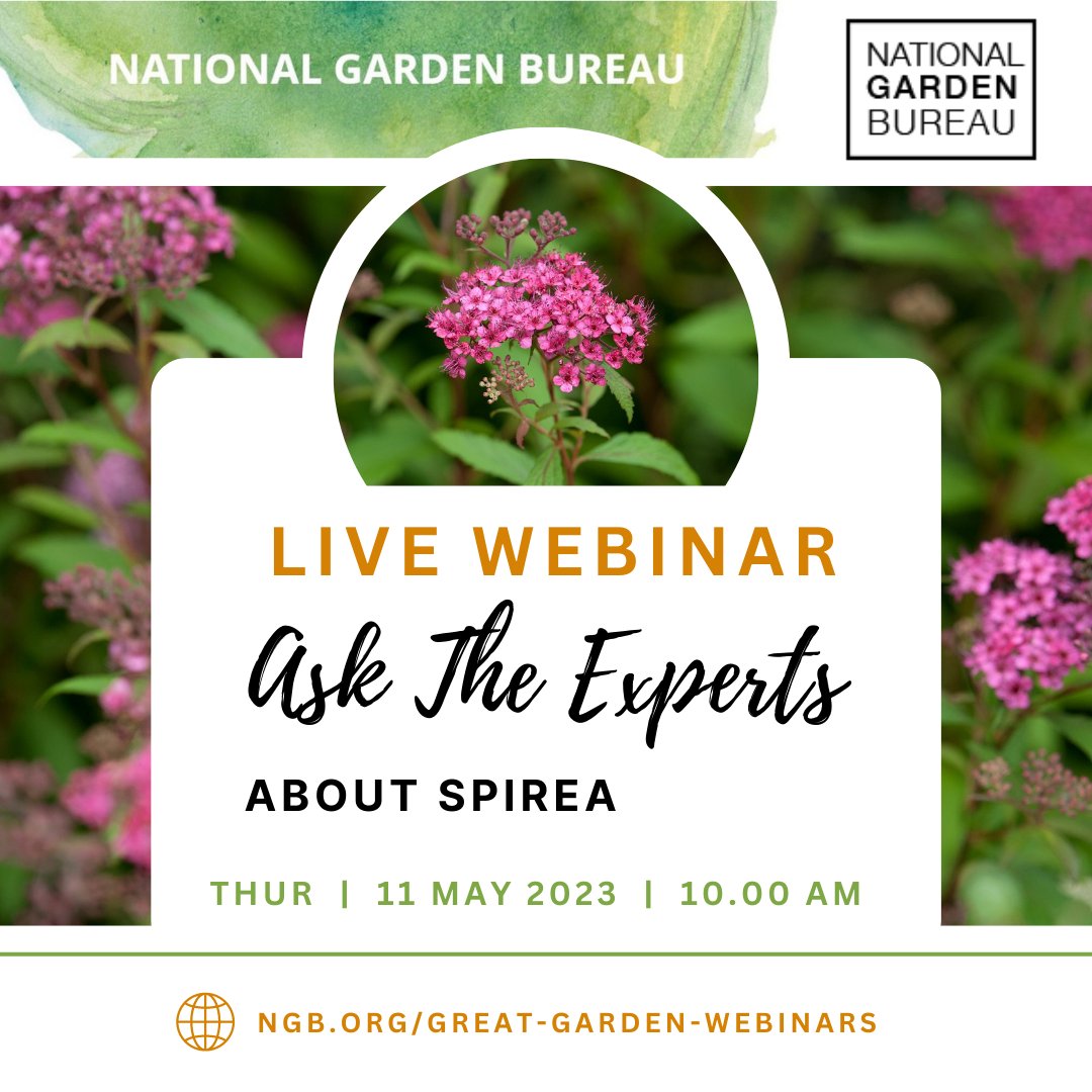 Plant Something Together tweet media