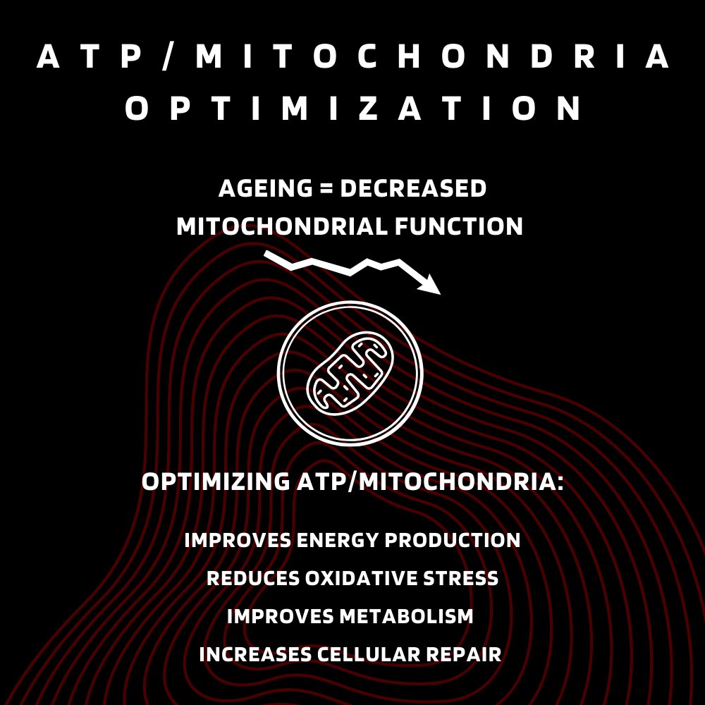 Tony Huge on Twitter "2.3) Medicine/Supplements Berberine/Metformin