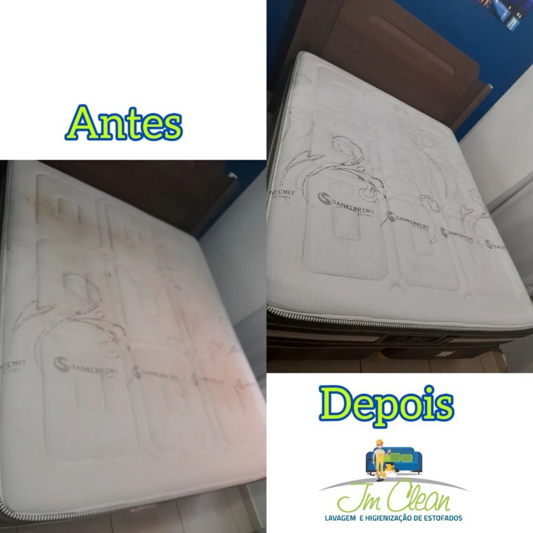 catanduvananet's tweet photo. Remoção de sujidades ,ácaros e bactérias de colchao Queen.
Atendemos a domicilio em Catanduva e Região!
(17) 99736-8002
Confira nossos trabalhos em @jmclean20
#colchao #colcha #sujidade #ácaros #acaros #fungos #bacterias #catanduvacity #catanduva #catanduvasp https://t.co/n0gLAebKae