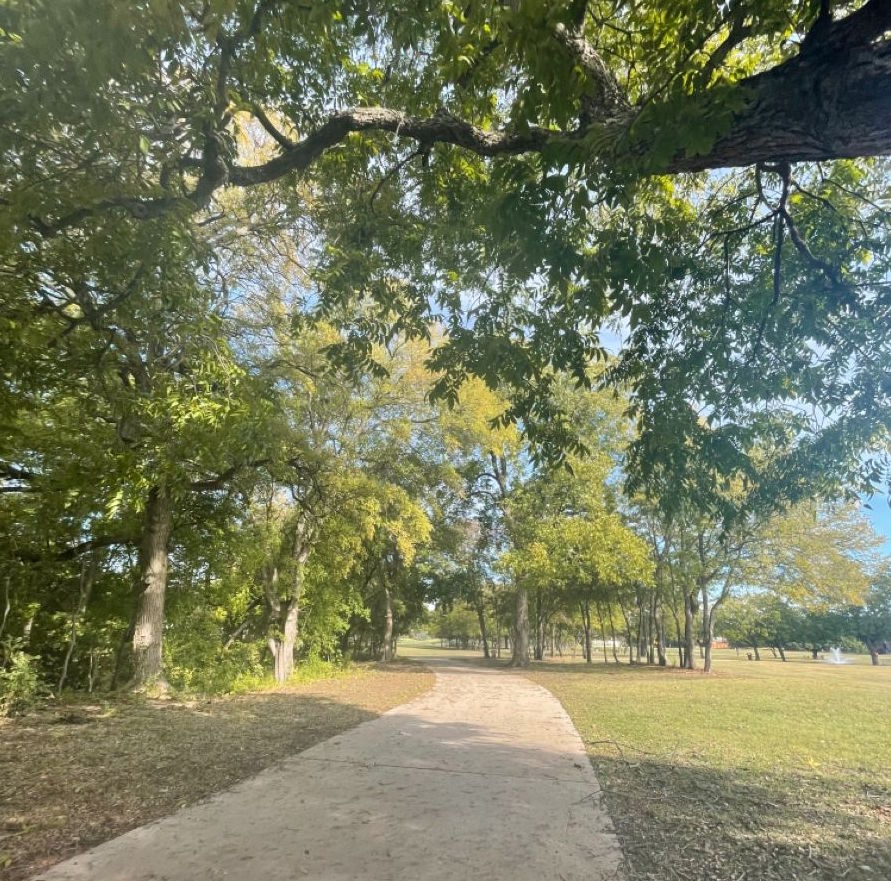 Curated Pieces tweet media