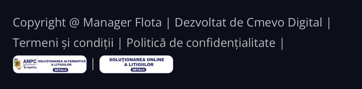 manager flota idea validation