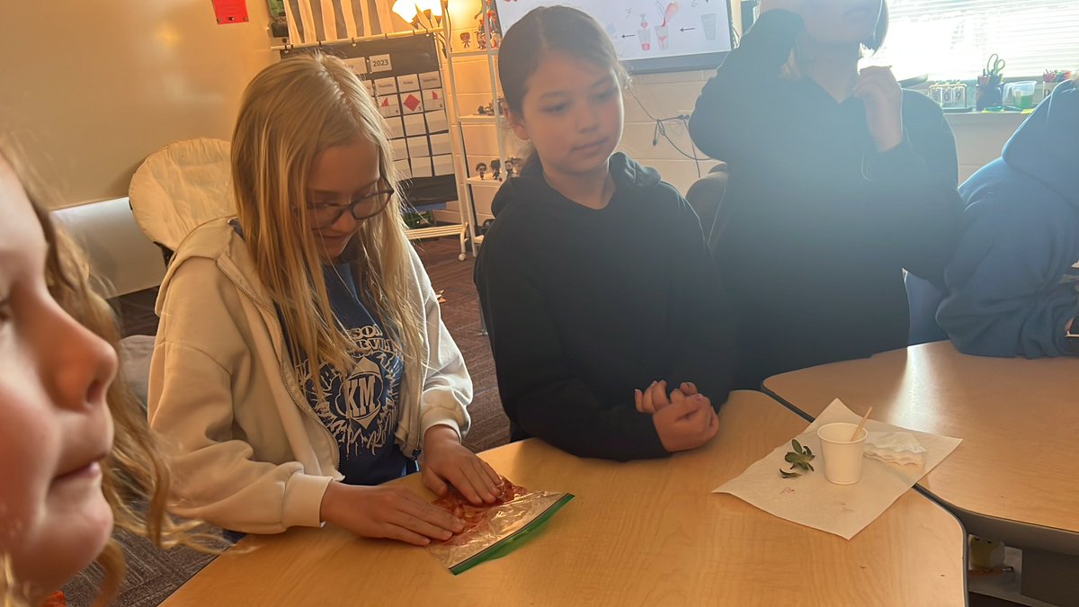 Extracting DNA (strawberries) 
<a href="/MayoClinic/">Mayo Clinic</a> <a href="/MarkMatuska/">Mark D. Matuska</a> <a href="/KMElem/">KM Elementary School</a> #SparkingInterest