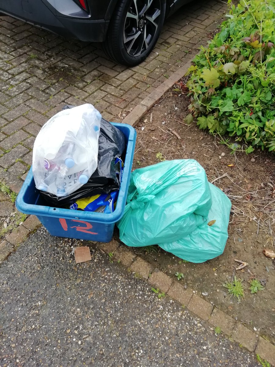 Allison Morris tweet media