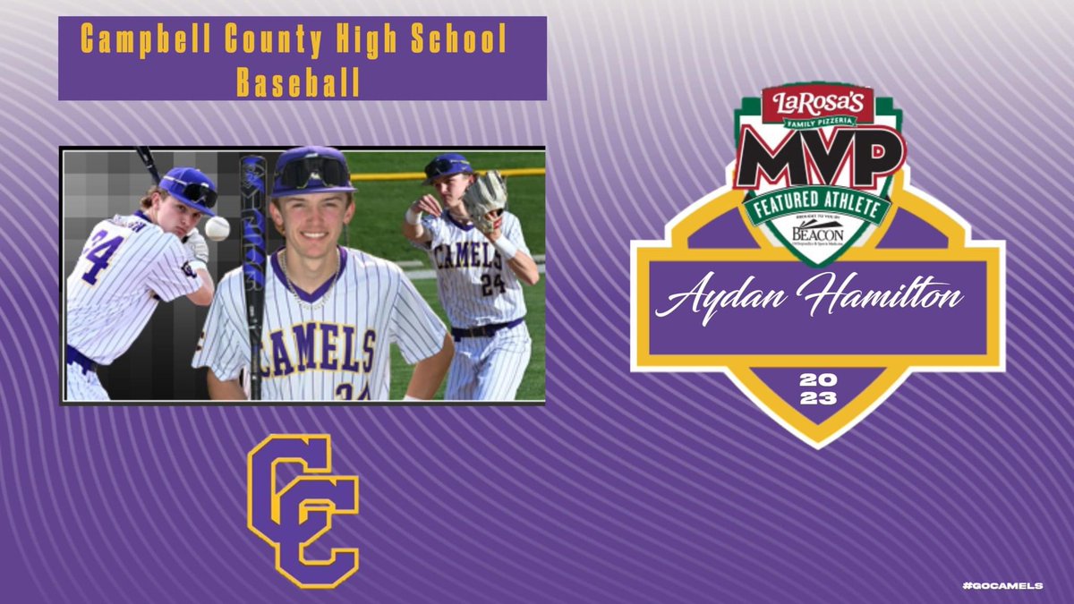 Congratulations to Camels senior baseball player, Aydan Hamilton, on being selected as the LaRosa's MVP Featured Athlete.  For more information please click the link:
larosasmvp.com/?utm_source=MV…