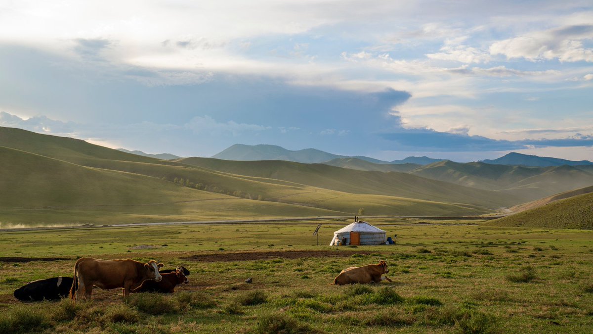inexplore_mag's tweet photo. Qui sont les Ongods, ces esprits qui tâchent de faire passer un message à travers les chamanes, ces relayeurs ? Quelles informations ont-ils à nous transmettre ?
🔹 https://t.co/hbMubMRGFL
#chamanisme #mongolie #chamane #traditions #ceremonie https://t.co/XFVJkhOS0P
