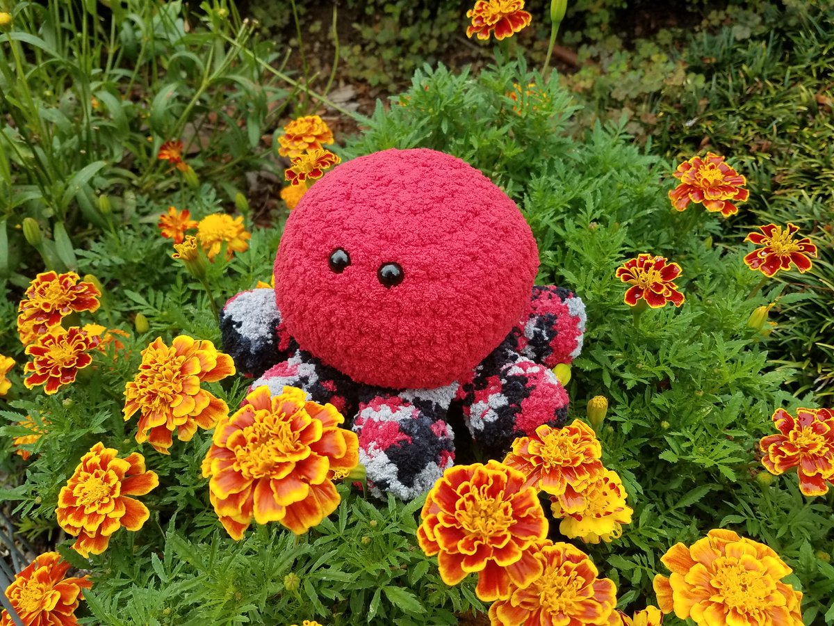 OddballCritters's tweet photo. Drop something red! ❤️ https://t.co/vOOUpZS0Gf