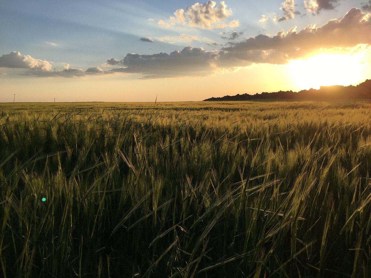 Bu Dünya gereğinden fazla kirlendi..
