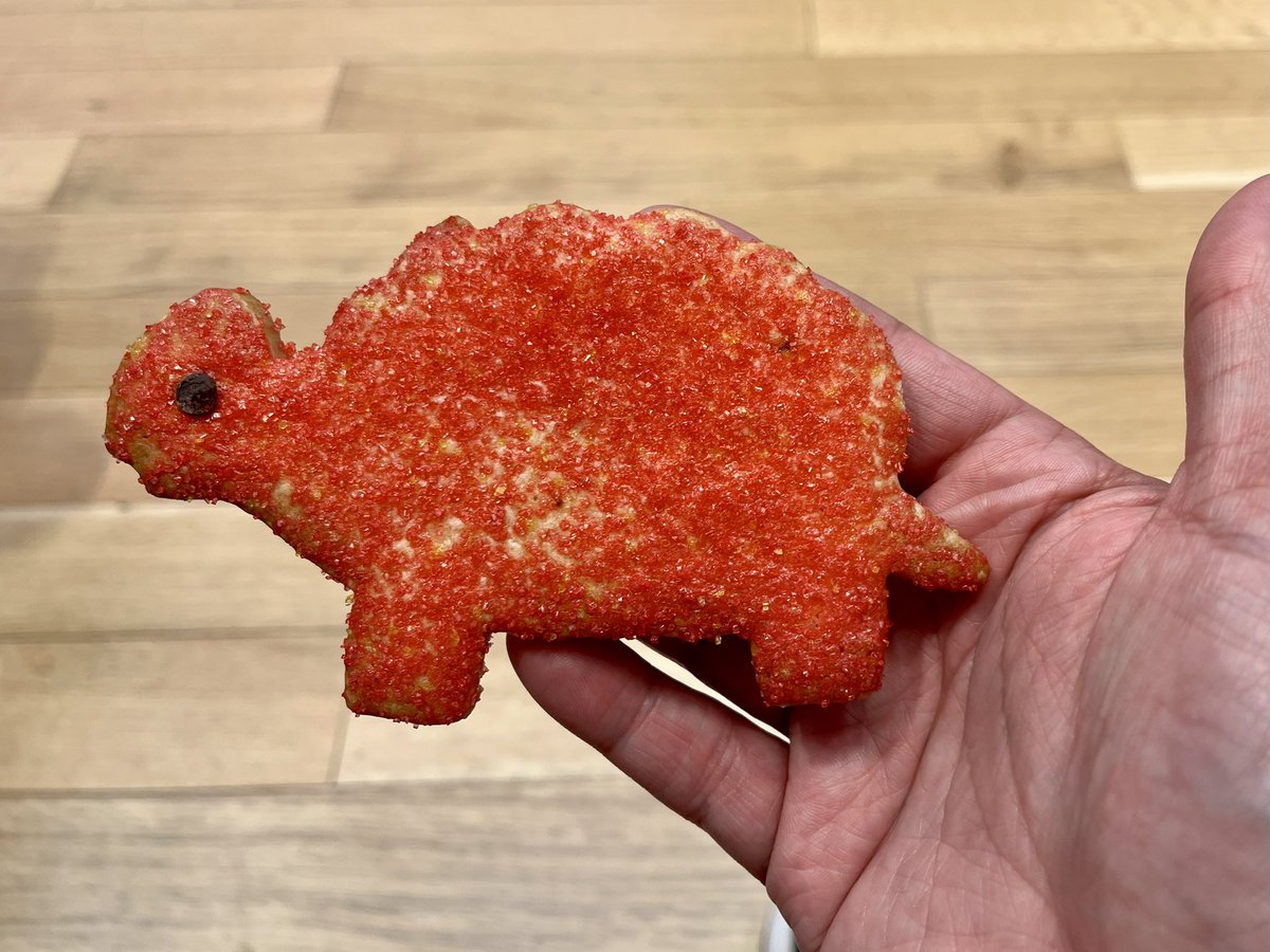 Terrapin cookies <a href="/umdme/">UMD Department of Mechanical Engineering</a> <a href="/MLKMiddle/">King Middle School</a>