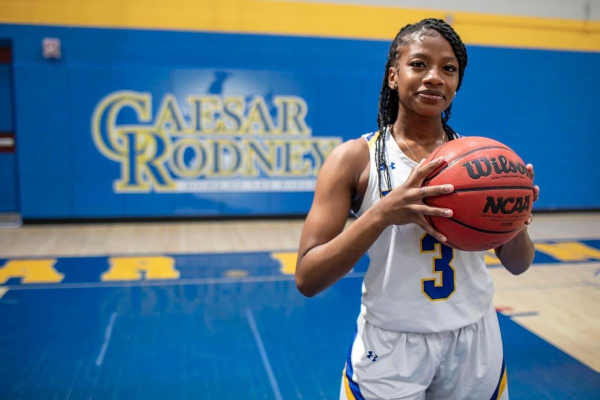 DE Army Guard tweet media