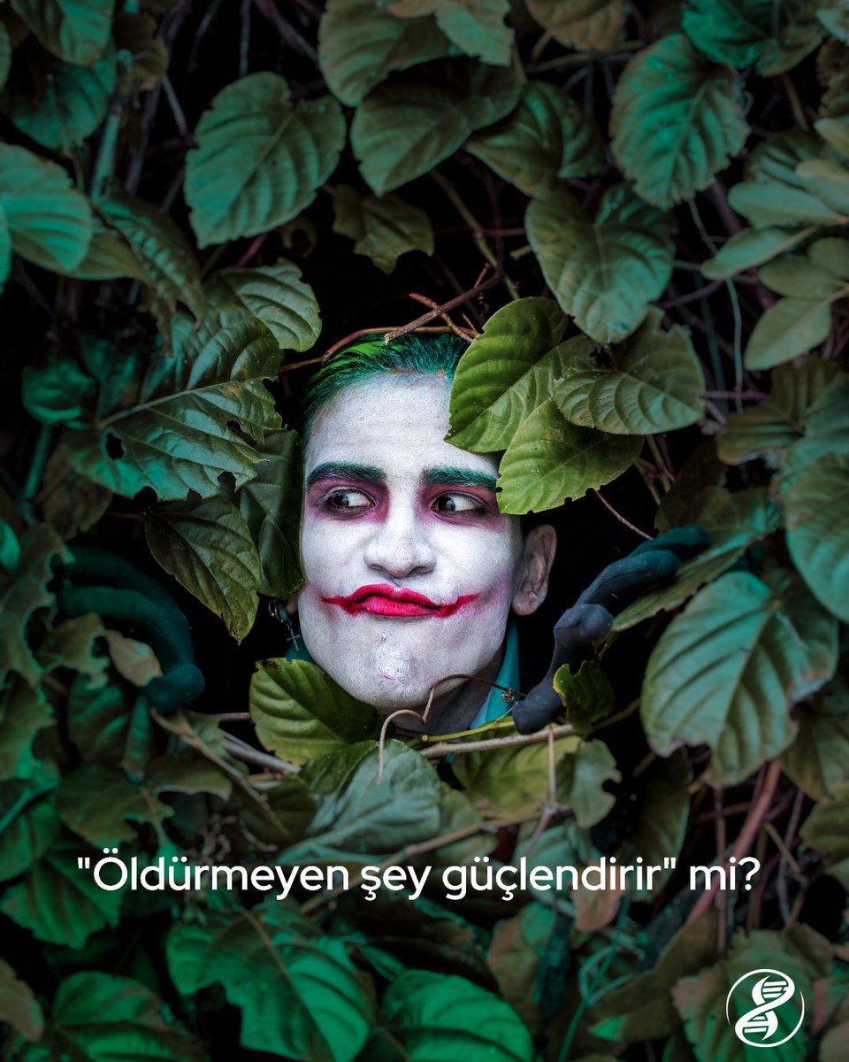 evrimagaci's tweet photo. "Öldürmeyen şey güçlendirir." sözü herkes tarafından o kadar kabul edilmiş durumda ki, günlük hayatımızdaki konuşmalarda bu sözü sıklıkla kullanıyoruz.

Ancak Brown Üniversitesi ve Concepción Üniversitesi’nden bilim insanlarının ortak çabasıyla yürütülen yeni bir çalışmaya göre bu düşünce aslında yanlış.

Geçmişte yaşadığımız stresli olaylar bizi gelecekte yaşayacağımız travmatik olaylara karşı geliştirmiyor.

Hatta, travmatik olaylara karşı hassaslaşıyoruz ve zihinsel bir rahatsızlığa yakalanma ihtimalimiz artırıyor.

Araştırma ekibi, 2003 ve 2011 yıllarında Şili’de yaşayan 1160 kişiyi inceledi. Bu yıllar, kayıtlara geçmiş en güçlü altıncı deprem ve ardından gelen tsunaminin Şili’yi vurduğu 2010 yılından öncesine ve sonrasına denk geliyor.

Çalışma 2003 yılında başladığında, hiçbir katılımcının travma sonrası stres bozukluğu (PTSD) veya büyük depresif bozukluk (MDD) geçmişi yoktu.

2010 depreminden sonra, hayatta kalanların %9,1’ine PTSD, %14,4’üne MDD tanısı konuldu.

Bu rahatsızlıklara sahip olma riski, özellikle birden fazla felaket-öncesi stres etkenine sahip kişilerde daha yüksek. Stres etkenleri; ciddi bir hastalık, bir yakının ölümü, boşanma, işsizlik ve finansal problemler olarak sıralanabilir.

Felaket-sonrası PTSD riskinin artması için, bahsettiğimiz etkenlerden dört veya daha fazlasını felaket öncesinde yaşamış olmak gerekiyor.

MDD için ise durum daha farklı; bu stres etkenlerinden birini bile geçiren insanların MDD riskinin daha yüksek.