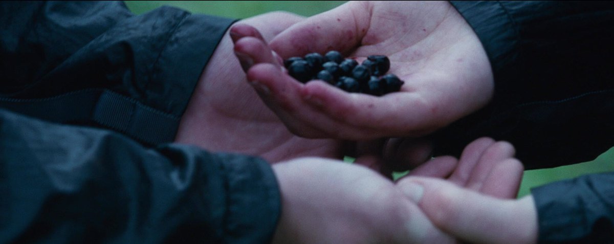 SacTributos's tweet photo. Discursão: na opinião de vocês, qual desses dois momentos foi o ponto de partida para os distritos começarem a se rebelar? 

Para mim a forma que a Katniss tratou a morte da Rue foi o que mais fez as pessoas enxergarem a possibilidade de desafiar a Capital, começou aí https://t.co/Ep3VRfihh7