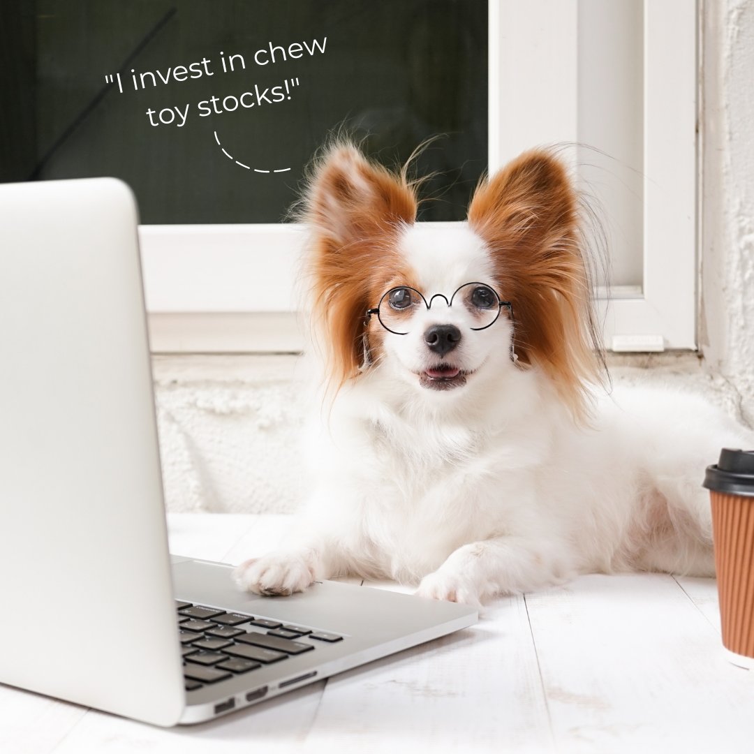 drivenpreneur's tweet photo. We’ve all heard of ‘dogs with jobs’ — but where do they keep their investments? 

A 401 K-9 😂 https://t.co/7LKL8OMDVw