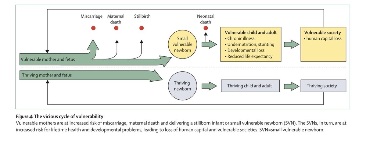 Vulnerability for newborns is a vicious cycle. We need to break it.