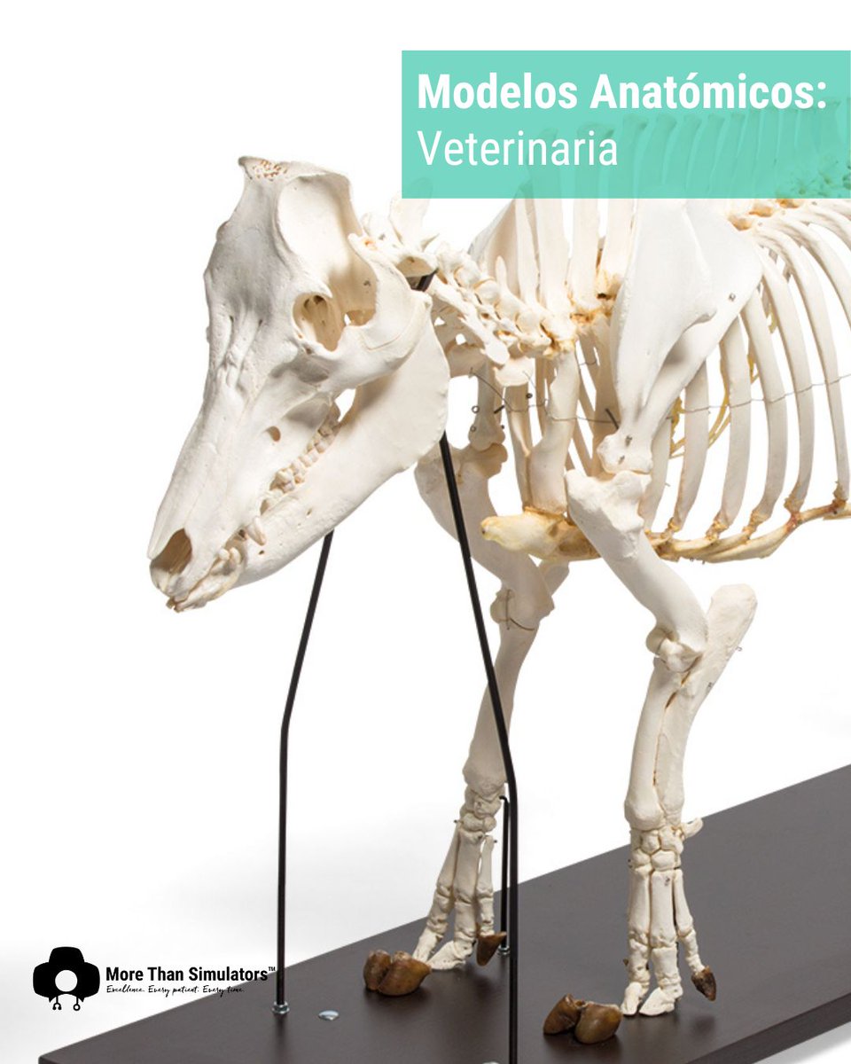 More Than Simulators tweet media