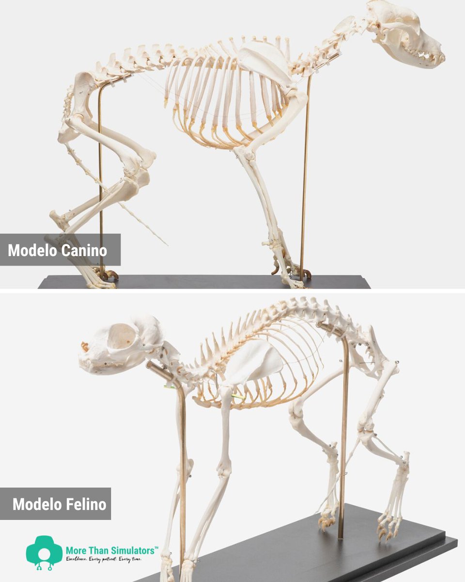 More Than Simulators tweet media