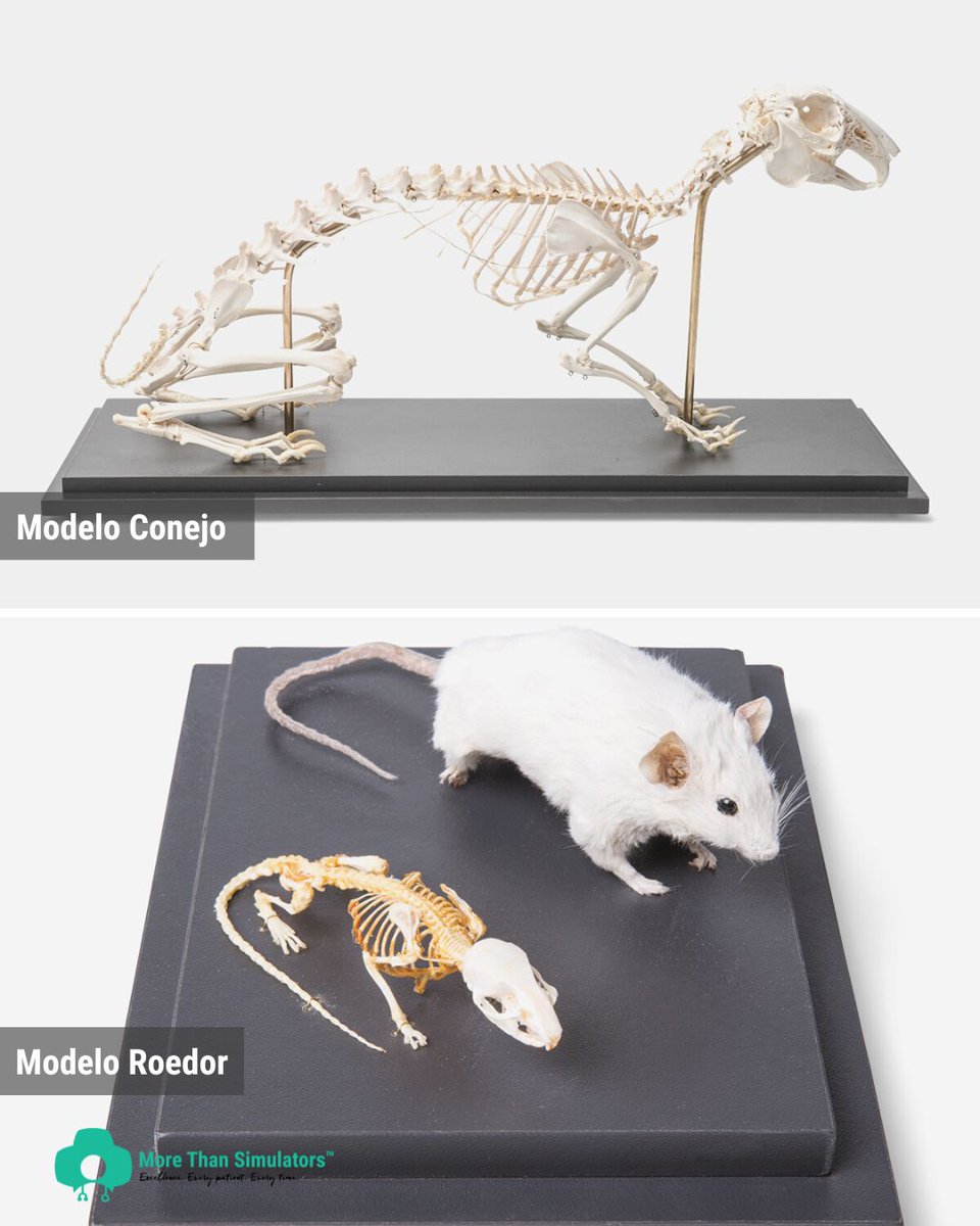 More Than Simulators tweet media