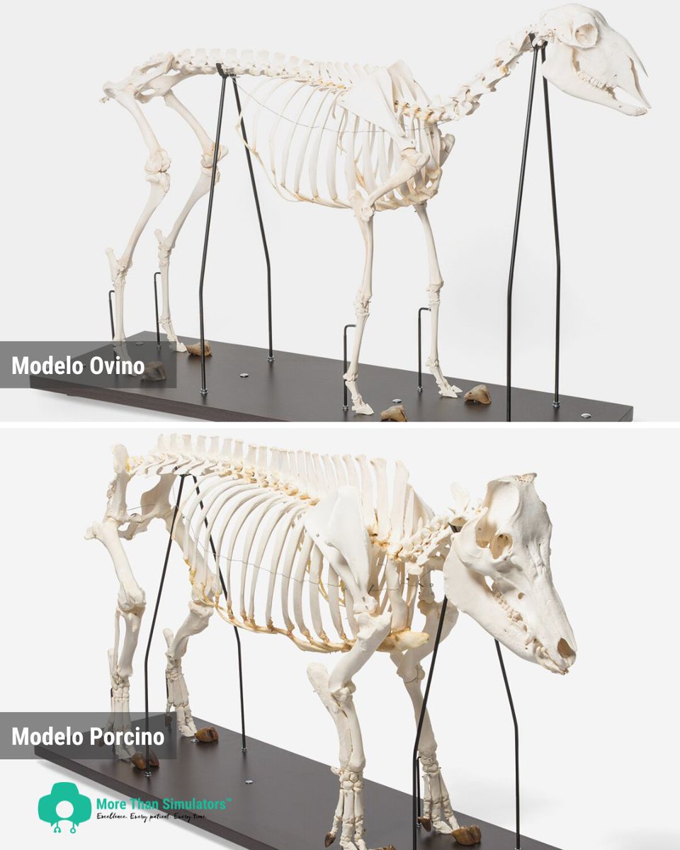 More Than Simulators tweet media