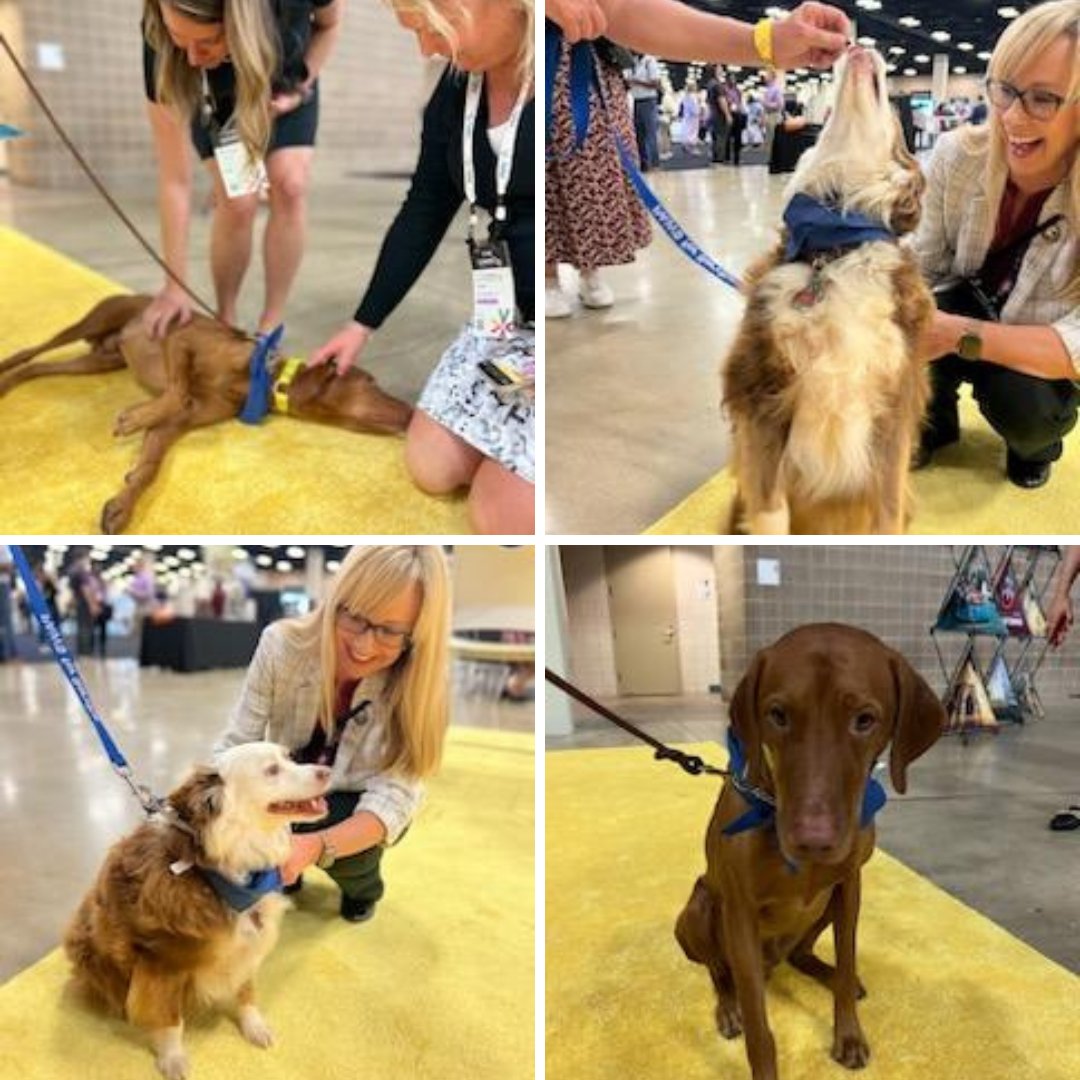 Tyler Technologies tweet media