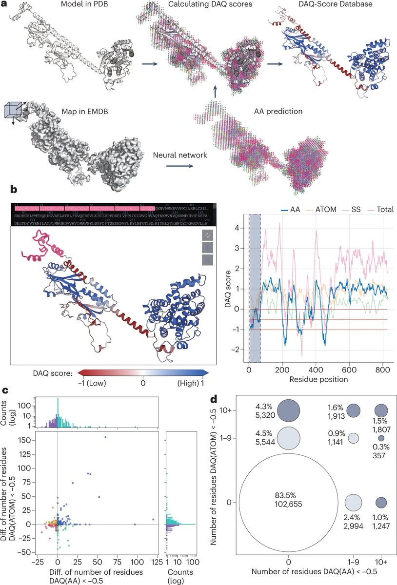 Just out online! "DAQ-Score Database: assessment of map–model compatibility for protein structure models from cryo-EM maps", Tsukasa Nakamura, Xiao Wang, <a href="/GTerashi/">Genki Terashi</a>, &amp; Kihara, Nature Methods <a href="/naturemethods/">Nature Methods</a>
nature.com/articles/s4159…

Visit the db at daqdb.kiharalab.org