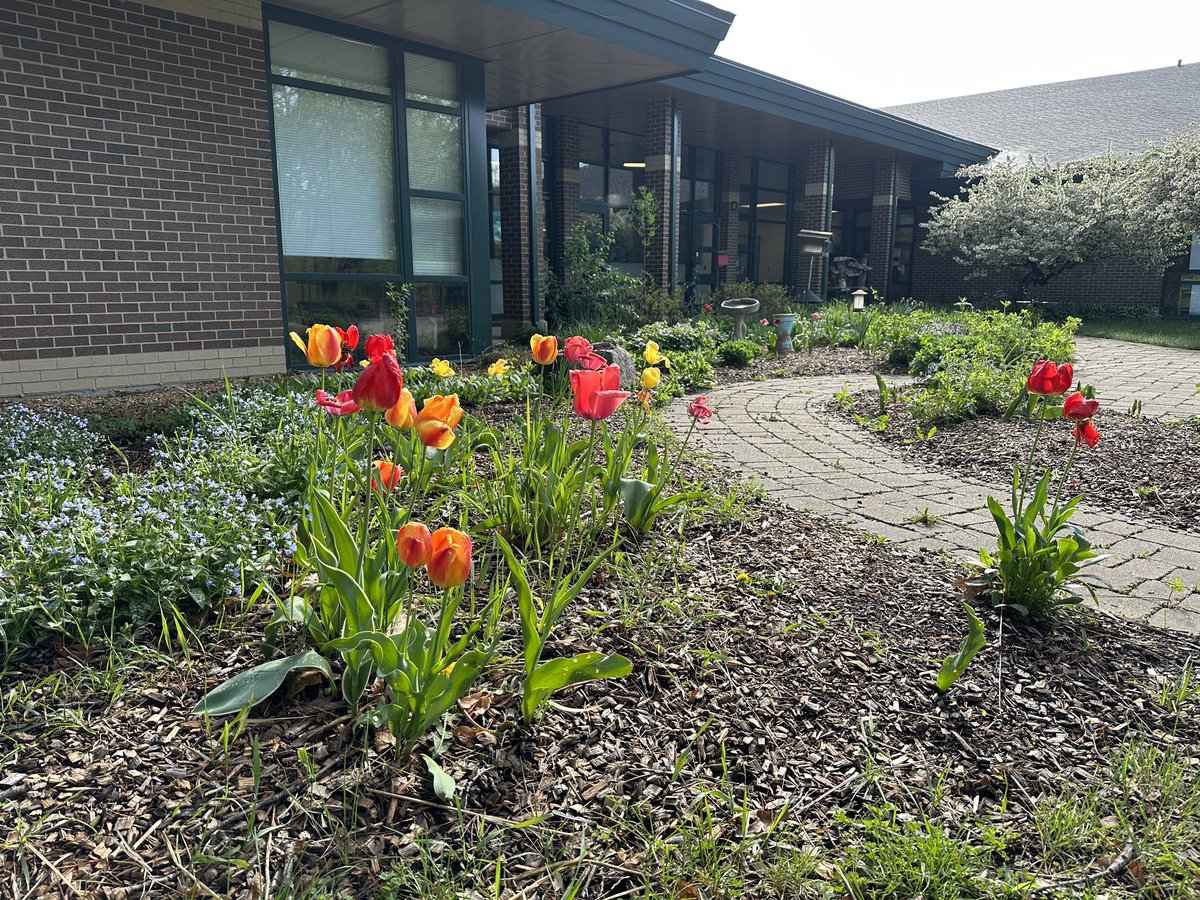 Discover_MV's tweet photo. We are loving the view on this sunny, spring day in our outdoor classroom! https://t.co/GZlptwKHBM