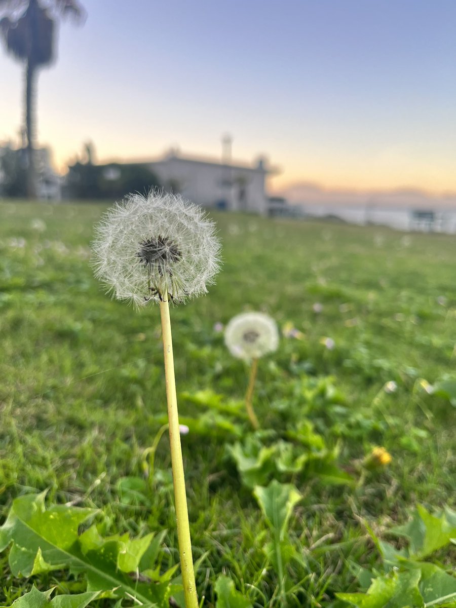 The joy in little things 😊