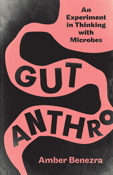 UMinnPress's tweet photo. Very happy to say GUT ANTHRO by Amber Benezra is out today! #PubDay

"Alternately hopeful and unsettling, this is a book that expertly does what microbes have always done: change how we see, how we collaborate, and who we are."  — @eyatesd https://t.co/X5TBPFY3a2