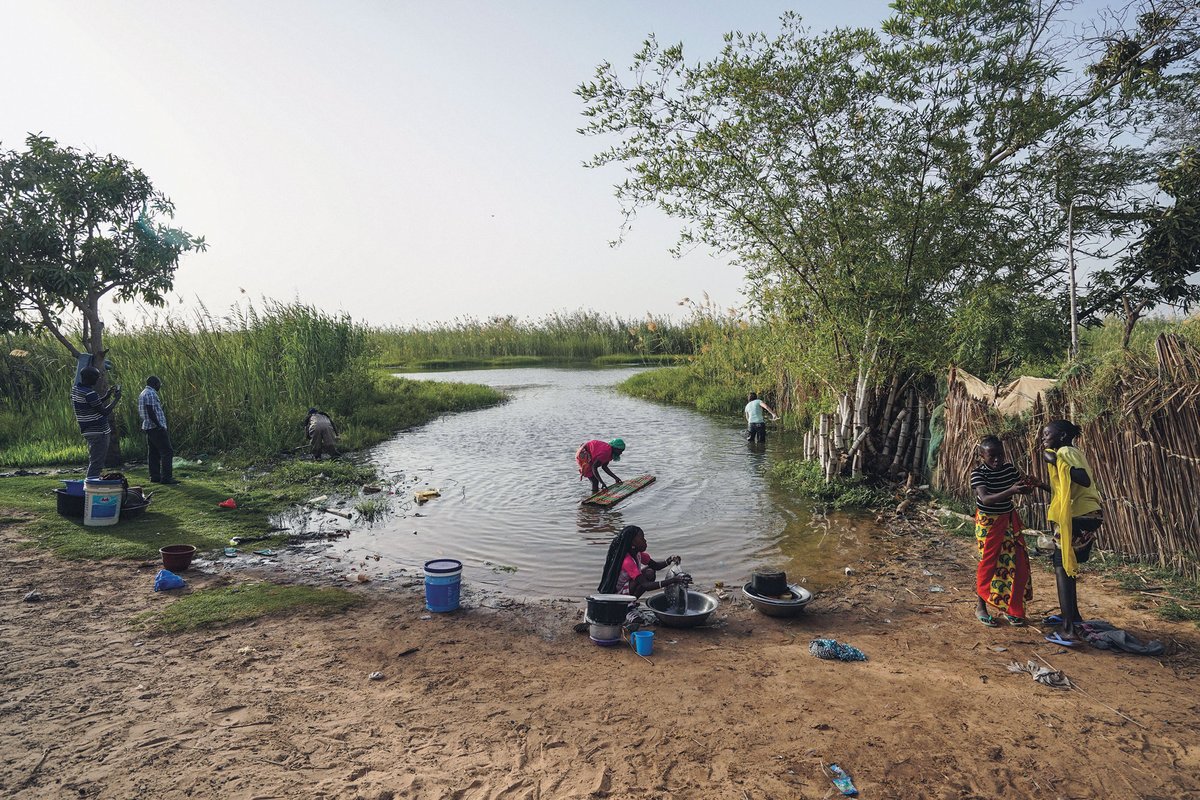 StanfordHealthPolicy (@stanfordhp) on Twitter photo "We’re talking about a disease of poverty. It’s in rural areas ... where there’s no easy access to piped, clean water," says Giulio De Leo, a <a href="/stanforddoerr/">Stanford Doerr School of Sustainability</a> prof of oceans testing out an unconventional solution to control schistosomiasis in Senegal. stanfordmag.org//contents/just… "We’re talking about a disease of poverty. It’s in rural areas ... where there’s no easy access to piped, clean water," says Giulio De Leo, a <a href="/stanforddoerr/">Stanford Doerr School of Sustainability</a> prof of oceans testing out an unconventional solution to control schistosomiasis in Senegal. stanfordmag.org//contents/just…