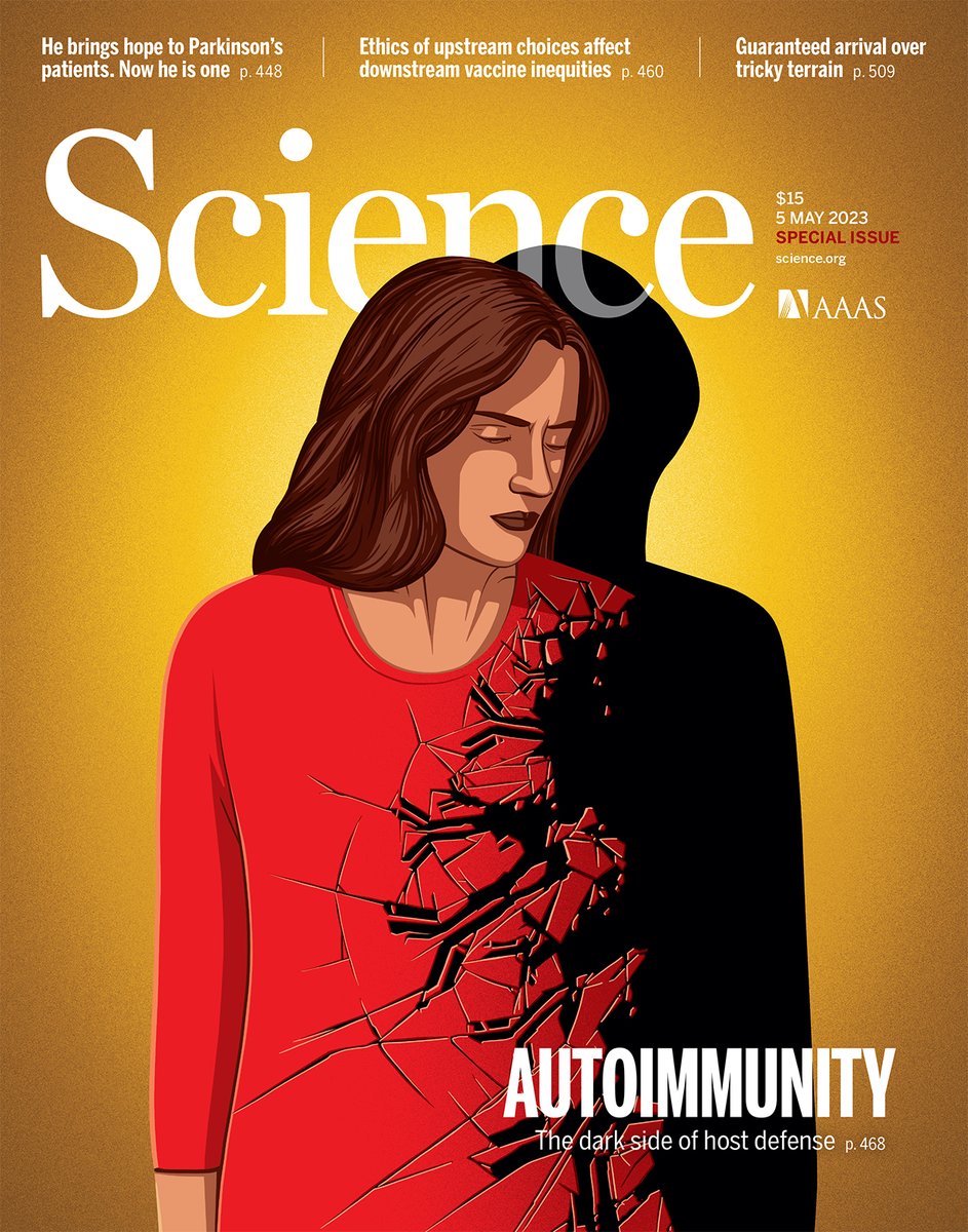 ScienceMagazine's tweet photo. A cardinal feature of the #immune system is its ability to distinguish self from nonself. Sometimes, however, this delicate balancing act fails.
 
This special issue of Science highlights recent advances in our understanding of #autoimmunity. https://t.co/daYjMdYiRT (THREAD 🧵) https://t.co/EwuDocBzbW