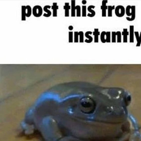 Angela. (@lightseedrobot) on Twitter photo 