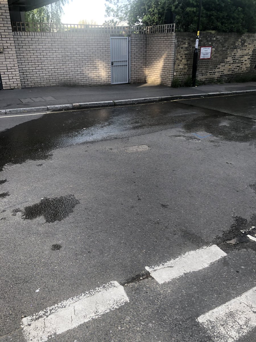 Elisabetta Barbazza tweet media