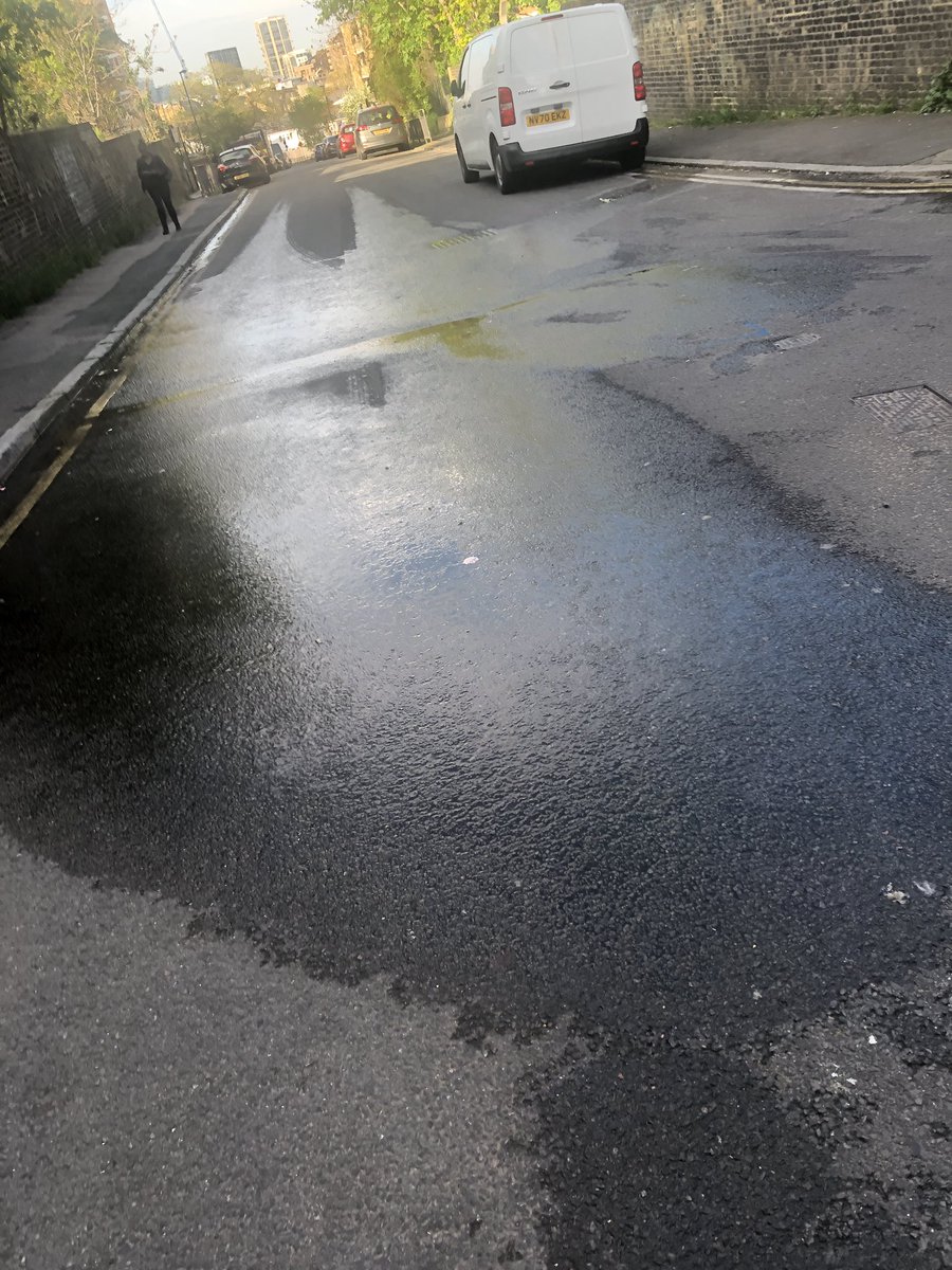 Elisabetta Barbazza tweet media