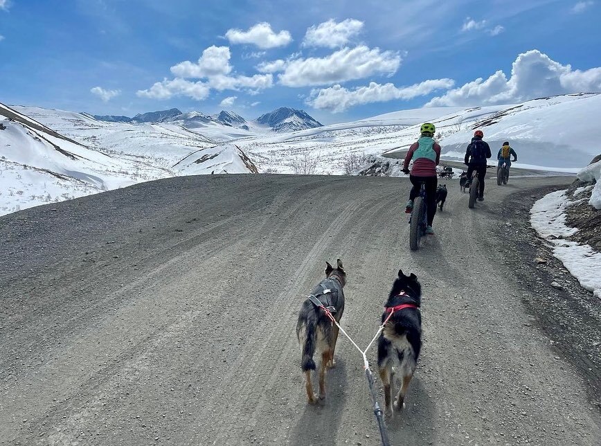 “I’ve visited Denali National Park countless times, but yesterday was my first time visiting on a bike. It felt pretty special. To also get to experience this gorgeous, close-to-my-heart kinda place with two of my dogs and good friends made it even more … instagr.am/p/CsCW4EOSRp9/