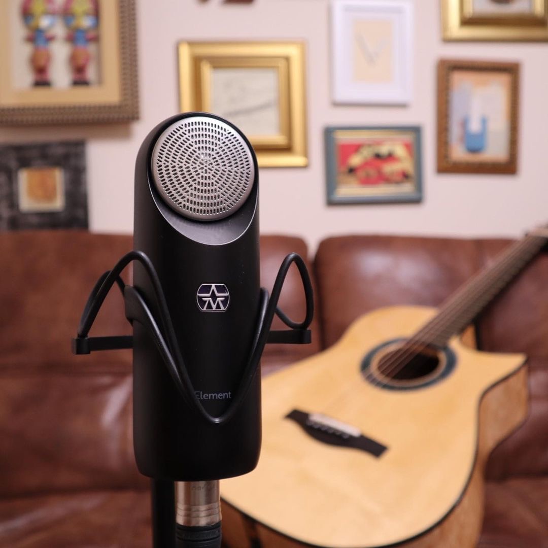 Aston_Mics's tweet photo. As your first serious mic or to add to your existing mic collection, Element is an absolute killer 🎙️⚡️

📸: michael.watts.guitar (IG) https://t.co/Os1DKQPi2d