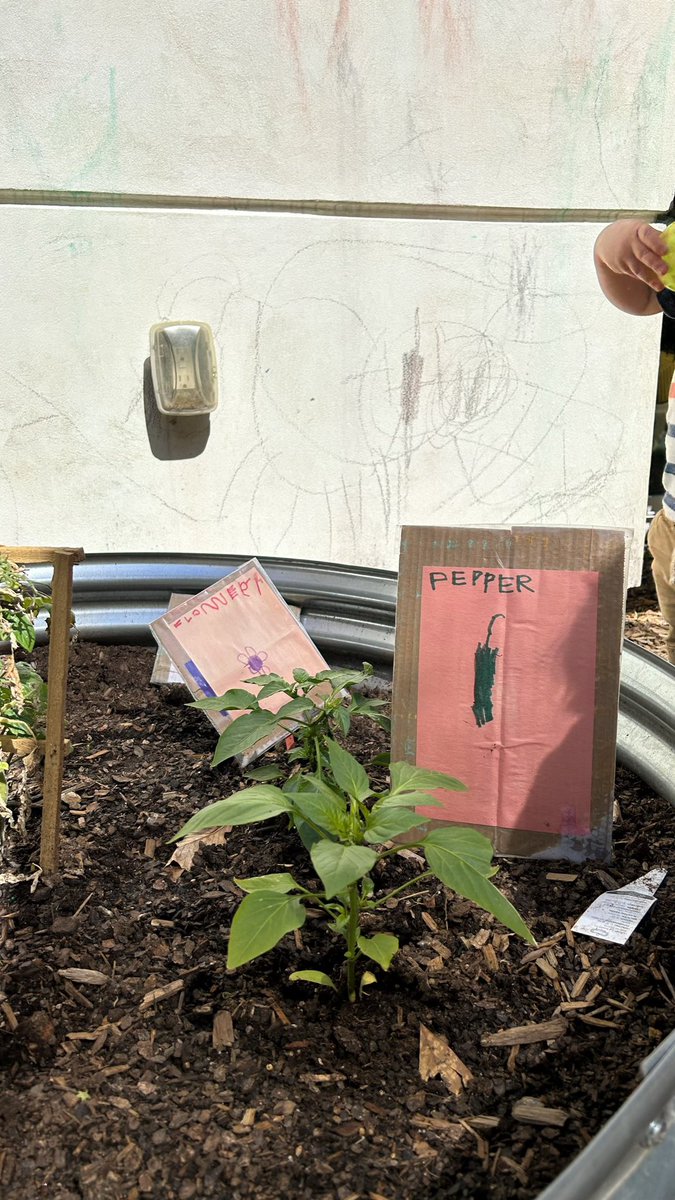 bigevilbug's tweet image. 