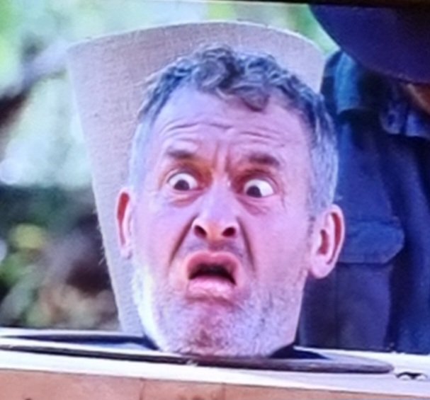 Enjoying <a href="/imacelebrity/">I'm A Celebrity... Get Me Out Of Here!</a> #sorrynotsorry