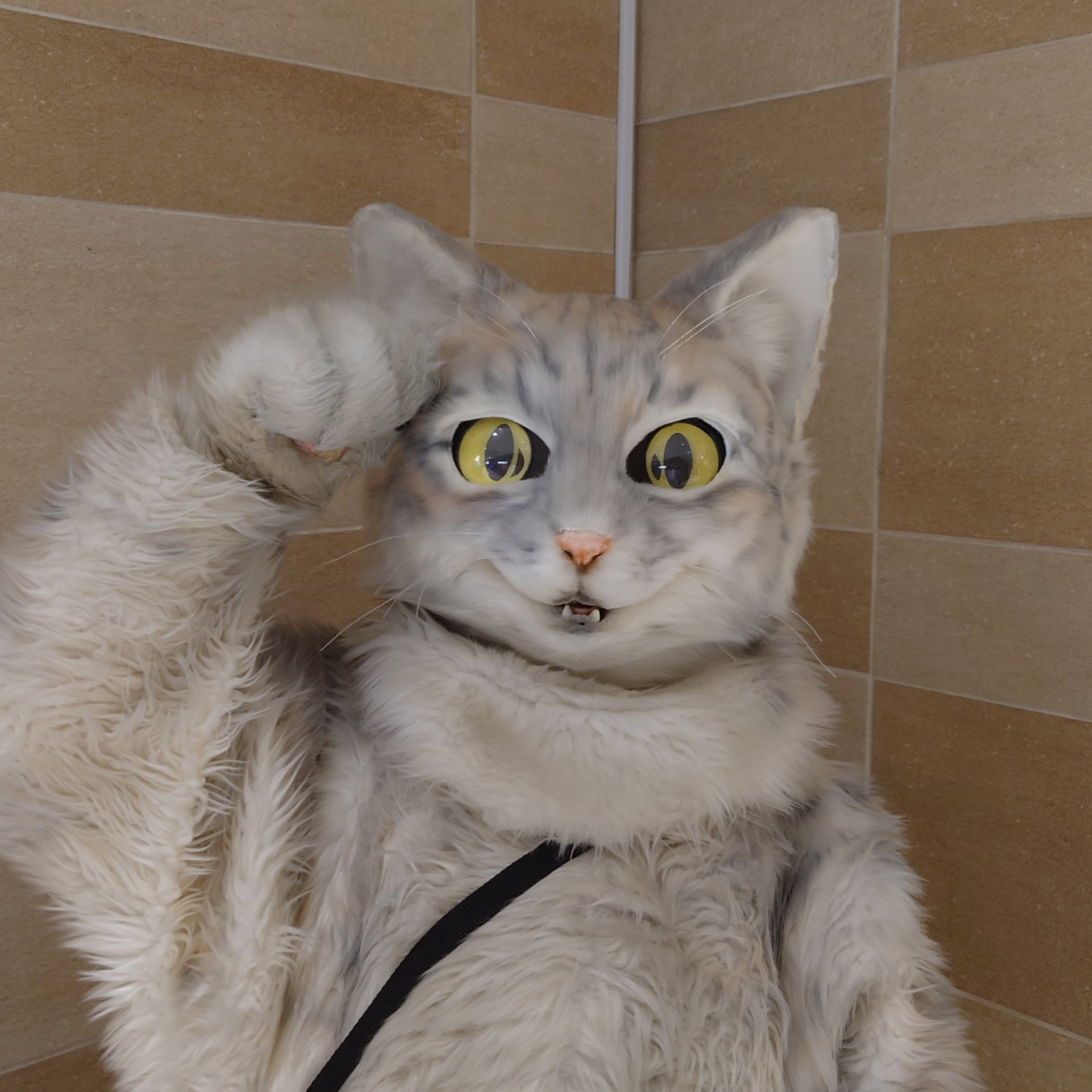 ぐで猫 こぼれちゃった プリン No.460 - novius-it.hu