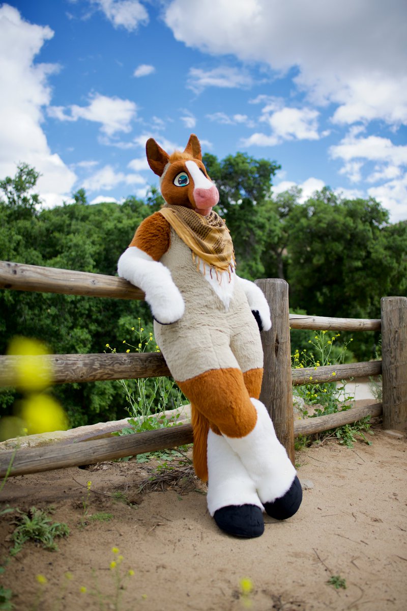 Crackerjack (@cozycolt) on Twitter photo Just horsin' around... ๐ด
๐: <a href="/Skyprocostumes/">Skyprocostumes๐ป</a> / <a href="/SkyproStables/">Skypro Stables</a>
๐ท: <a href="/stinkyjingo/">Jingo (Off doing IRL!)</a> Just horsin' around... ๐ด
๐: <a href="/Skyprocostumes/">Skyprocostumes๐ป</a> / <a href="/SkyproStables/">Skypro Stables</a>
๐ท: <a href="/stinkyjingo/">Jingo (Off doing IRL!)</a>