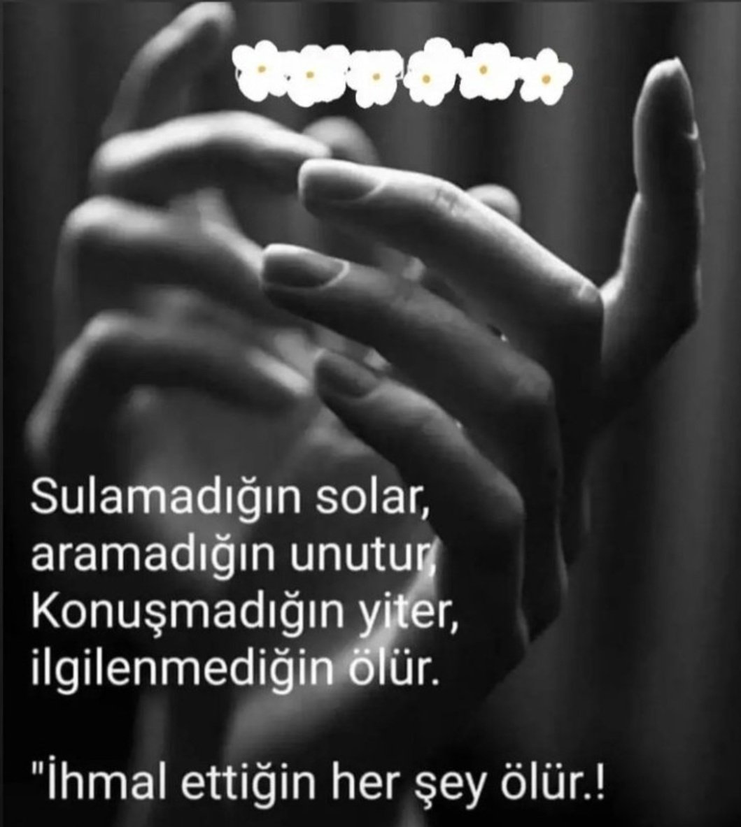 Zarina Bulent (@bulentzarina) on Twitter photo 