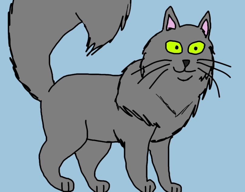 Angora Turco gris fanart 
#angora #angoraturco #gatoangora #cat #cats #catfanart #catsfanart #catbreeds #catbreed #graycat #drawingcats #razasdegatos #pet #pets