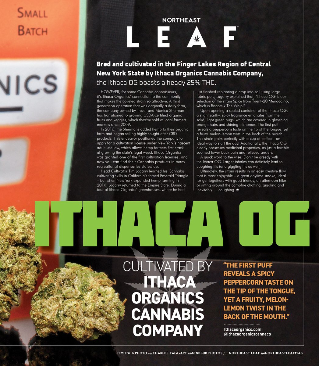 Northeast Leaf Magazine tweet media