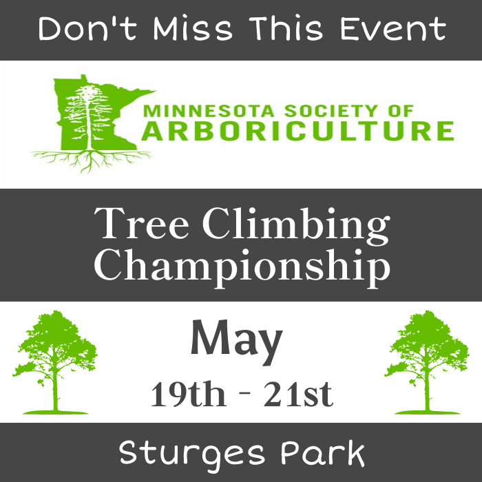 City of Buffalo on Twitter "Festival of Trees 10am 3pm 5/20/23